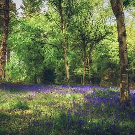 The Cuckoo's Nest - A Romantic & Peaceful Hideaway *